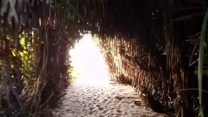 Video from our guests. Very nice! Thank you so much!:)