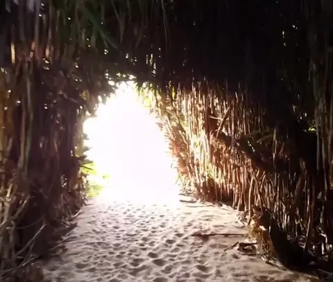Video from our guests. Very nice! Thank you so much!:)