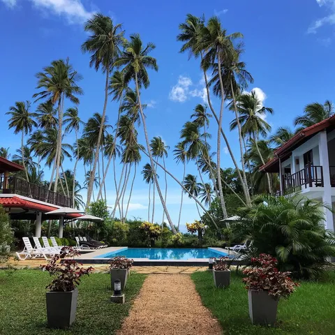 Today the weather is just wonderful, so bright! Come to Green Parrot Hotel and enjoy this sunny day with us:)