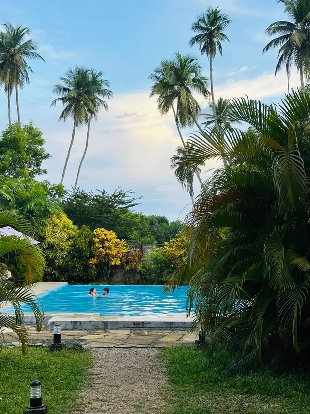 Guests swimming in a pool framed by jungle