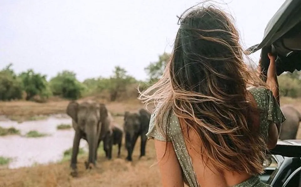 Safari jeep watching elephants in Udawalawe national park